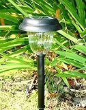 Plastic 2 LED Solar Light (Set of 6)