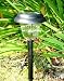 Solar Powered Set of 6 Plastic 2 LED Solar Light