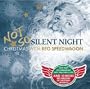 Not So Silent Night