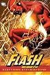Flash: Rebirth