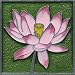 Lotus Decorative Magnet