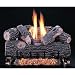 Rasmussen 24 Inch Chillbuster Gas Log Set With Vent Free Propane Chillbuster Dual Burner - Manual Safety Pilot