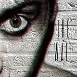 THE WALL