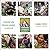 Crescent City Farmers Market Cookbook