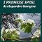 I Promessi Sposi [The Betrothed]