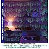 光る壁紙（蓄光） のりなしタイプ（横使い） サンゲツ FE-4038 92cm巾 50m巻【防カビ】【日本製】 生活用品 インテリア 雑貨 インテリア 家具 壁紙 [並行輸入品]