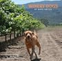 Winery Dogs of Napa Valley