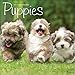 TF Publishing Puppies Office 2017 Wall Calendar (17-1011)