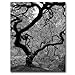 Japanese Tree II by David Farley, 24x32-Inch Canvas Wall Art