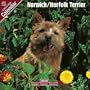 2009 Norwich/Norfolk Terrier Wall Calendar