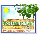 From Seed to Plant