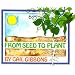 From Seed to Plant