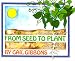 From Seed to Plant