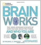 Brainworks : the mind-bending science of how you see, what you think, and who you are