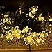 WishWorld Outdoor Solar Fairy String Lights, Waterproof Blossom Flower Light, 21ft 50 Led Christmas Lights Decorative Lighting for Indoor, Gardens, Party, Patio and Holiday Decorations(Warm White)