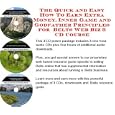 The Quick and Easy How To Earn Extra Money, Inner Game and Godfather Principles for PDAs Web Biz 3 CD Course