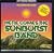 Here Comes the Sunburst Band