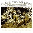 Delta Swamp Rock: More Sounds from The South 1968-75 - At the Crossroads of Rock, Country and Soul