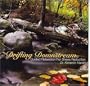 Drifting Downstream:  Guided Relaxation for Stress Reduction