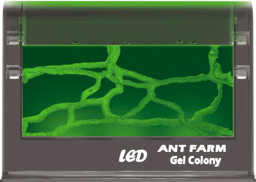 Uncle Milton Illuminated Ant Farm Gel Colony