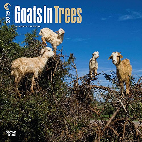 Goats in Trees 2015 Wall Calendar
