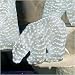 Giant Commercial Acrylic LED Baby Polar Bear Christmas Display - 750 LED Lights