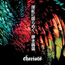 深紅に揺らめく、儚き鶺鴒