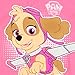 Paw Patrol Girls' Skye Pajamas Multicolored 5