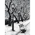 Winter Scene Boxed Christmas Cards - 40 ct