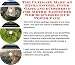 Book The Ultimate Make An Extra Income, Inner Game and eCommerce for Metric Fasteners Web Businesses 3 CD Power Pack