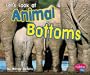 Let's Look at Animal Bottoms (Pebble Plus)