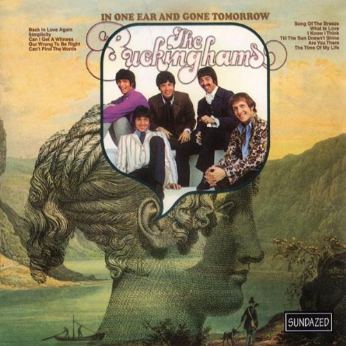 The Buckinghams - I Call Your Name Lyrics - Zortam Music