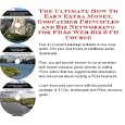 The Ultimate How To Earn Extra Money, Godfather Principles and Biz Networking for PDAs Web Biz 3 CD Course