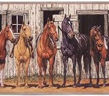 York Saddled Horses Wallpaper Border