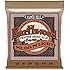 Ernie Ball 2146 Earthwood Medium Light Acoustic Phosphor Bronze String Set (12 - 54)