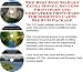 The Ultimate How To Earn Extra Money, Marketing and Success Principles for Shopping Carts Businesses 3 CD Combo Pack