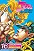 JoJo's Bizarre Adventure, Vol. 16