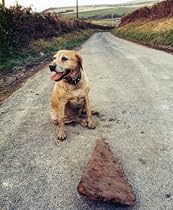 Click to Download Free Kindle Book -> Shelley The Lifeboat Labrador