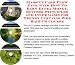 Search : The Secret Make An Extra Income, Marketing and Inner Game for Trendy Curtains Web Businesses 3 CD Power Pack