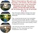 Book The Insider's Make An Extra Income, Success Principles and Sales Models for Travel Arrangements Web Businesses 3 CD Power Pack