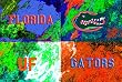Florida Painting - Warhol's Florida Logo