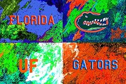 Florida Painting - Warhol's Florida Logo
