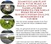Massive Cash Flow Pack with Make An Extra Income, Inner Game and Biz Networking for Great Home Business Opportunities On-line Businesses 3 CD Course