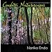 Confetti Naturescapes: Quilting Impressionist Landscapes