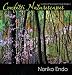 Confetti Naturescapes: Quilting Impressionist Landscapes