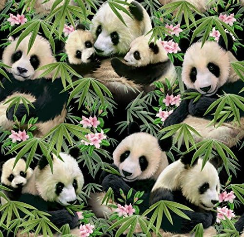 Elizabeth Studio Adorable "Panda Bears" on Bamboo Shoots Fabric BTFQ