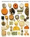 French Cheese photographic art print 30x24cm by Atelier