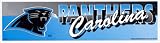Carolina Panthers 11