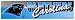 Carolina Panthers 11
