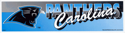 Carolina Panthers 11